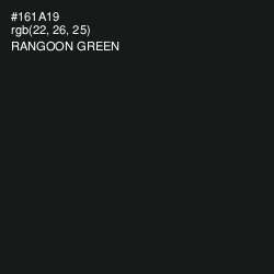 #161A19 - Rangoon Green Color Image